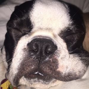 Meet your Posher, William